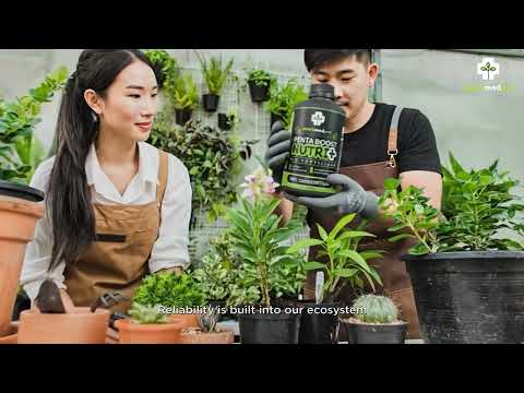 Plantmedpro™ Penta Boost Nutri+ 5-in-1 Biofertilizer - NPK & Zinc Mobilizing Microbes for Complete Plant Nutrition, Growth & Blooms | Organic fertilizer for home garden, pot plants (2 Litre)