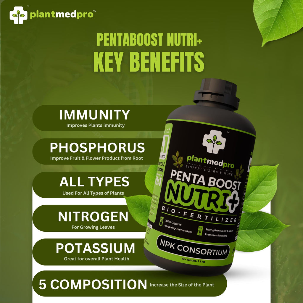 Plantmedpro™ Penta Boost Nutri+ 5-in-1 Biofertilizer - NPK & Zinc Mobilizing Microbes for Complete Plant Nutrition, Growth & Blooms | Organic fertilizer for home garden, pot plants (2 Litre)